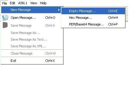 new, empty message created by using an ASN.1 schema file as the template