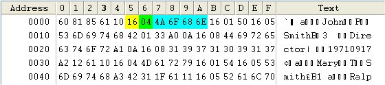 image of the selected node related binary
data with color-coding